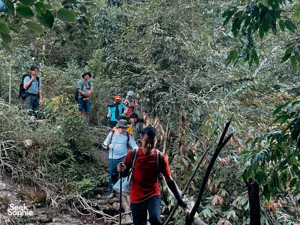 Conquer Ky Quan San: 3D2N Trek to Cloud-Kissed Summit