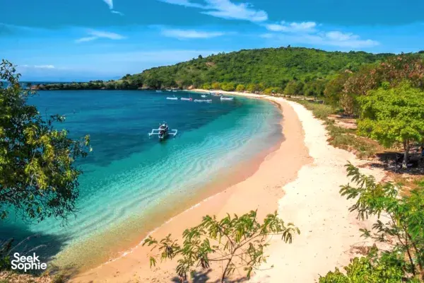 Support Shark Conservation in Lombok | Snorkel with Ex-Shark Fishermen