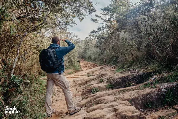 6H Sunrise Hike to World's End Cliff | Horton Plains 