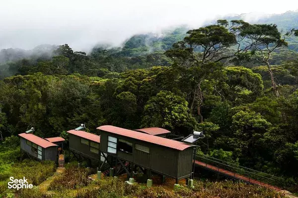 1D1N Sinharaja Rainforest | Stylish Ecolodge Retreat & Hike