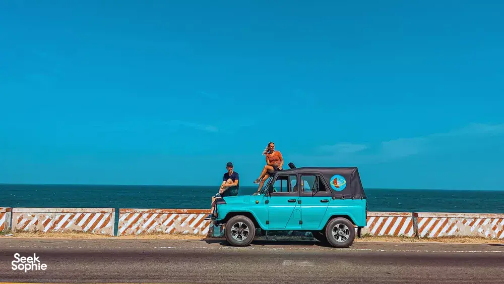 Seek Sophie option picture