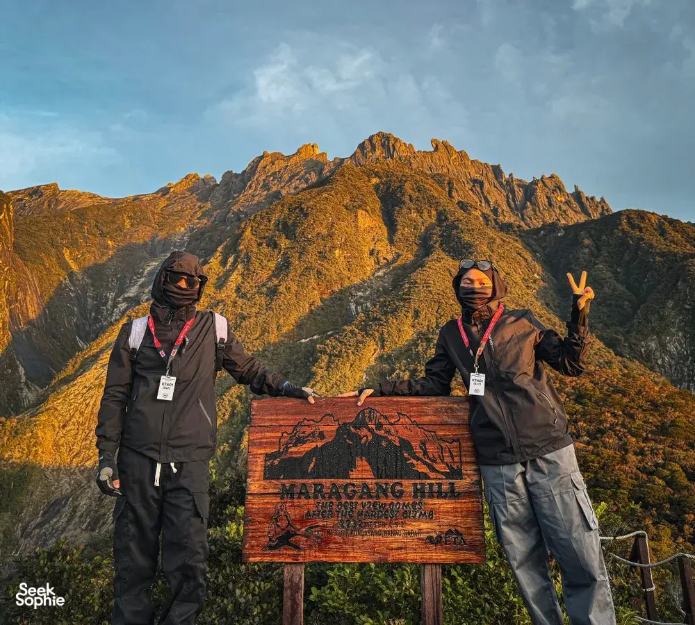 Seek Sophie option picture