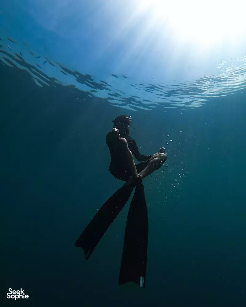 Seek Sophie option picture