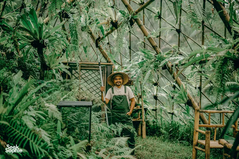 Meet Wayan and learn all about the fireflies!