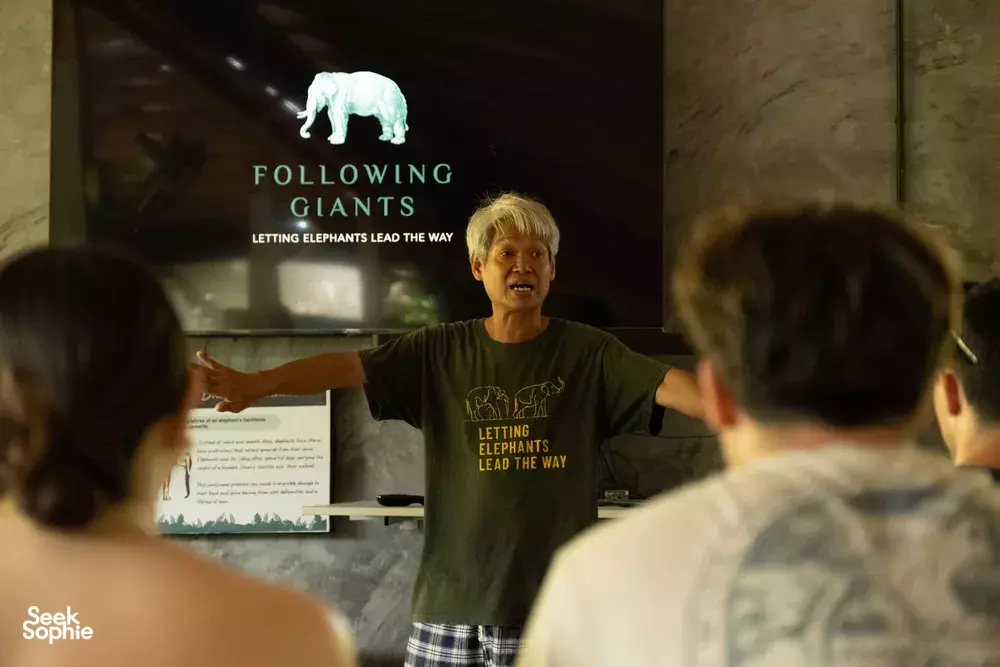 Seek Sophie option picture