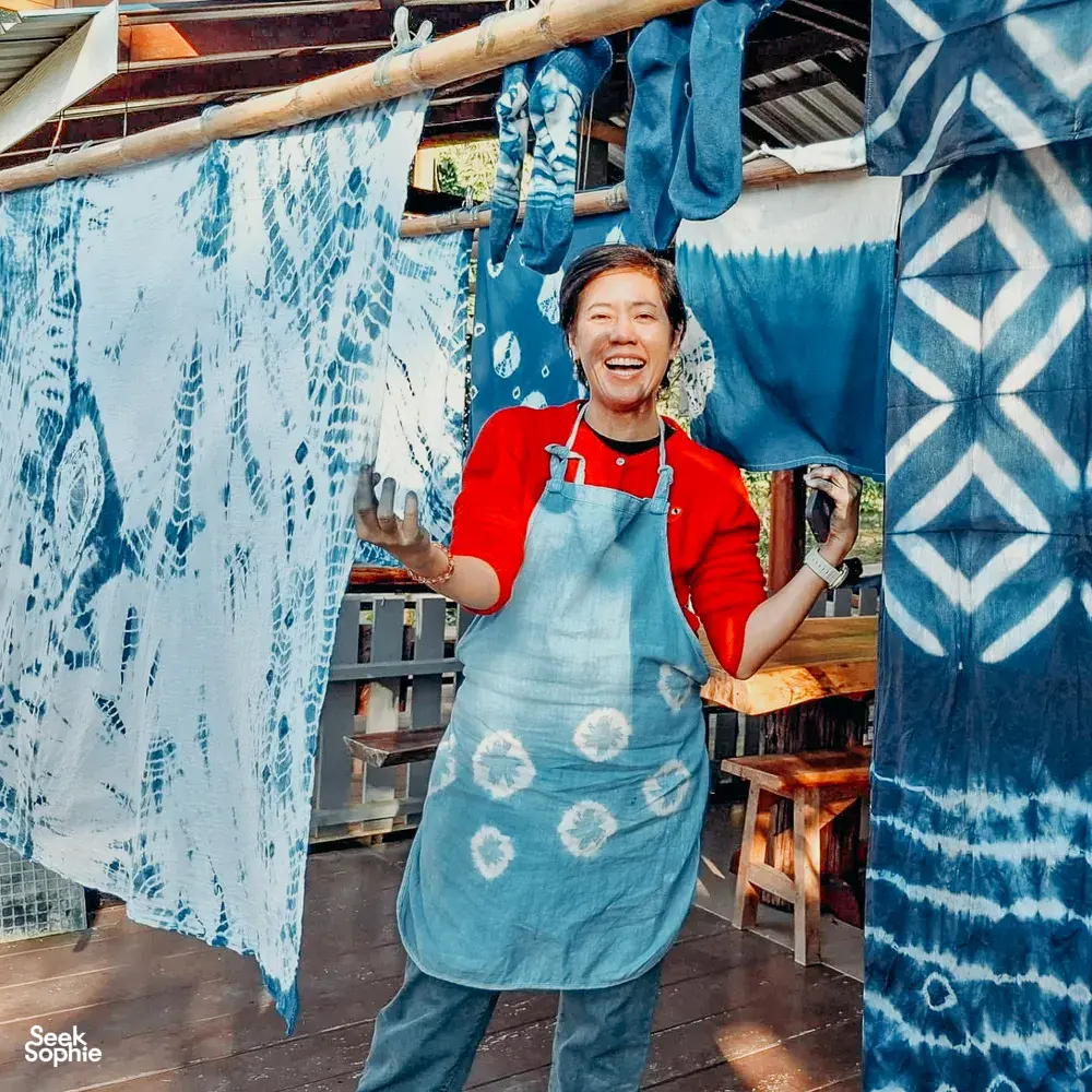 Seek Sophie option picture