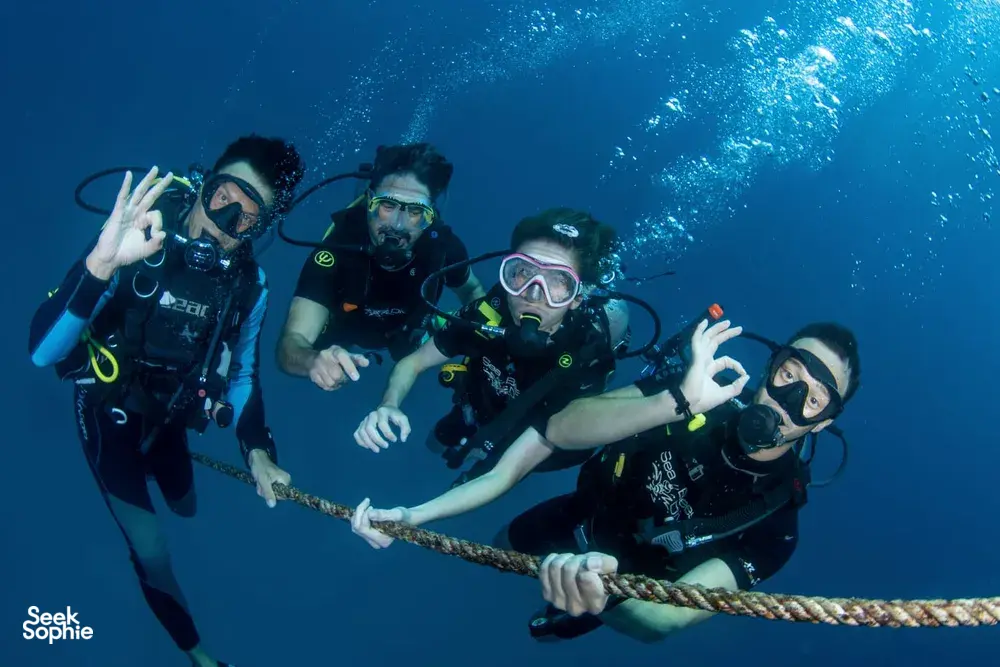 Seek Sophie option picture