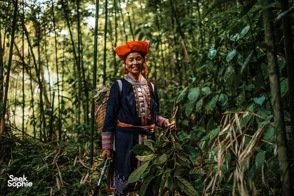 Discover the Secrets of the Red Dao: A Healing Bath Tradition