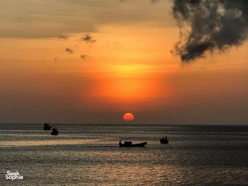 Seek Sophie option picture