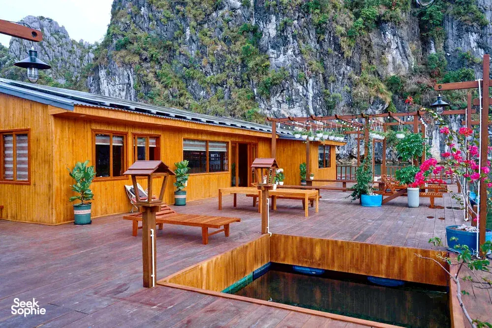 Seek Sophie option picture