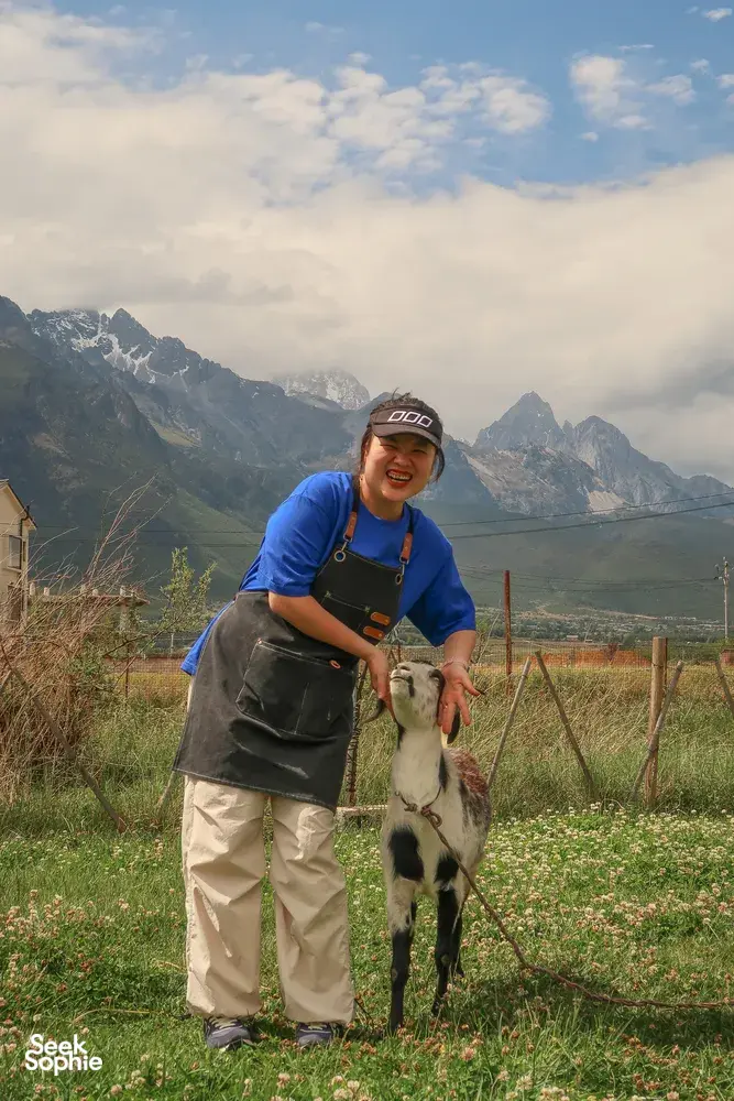 Coffee farming on a mountain farm in Lijiang with Seeker Yunnan Coffee Estate: a host feeds a goat with hills behind