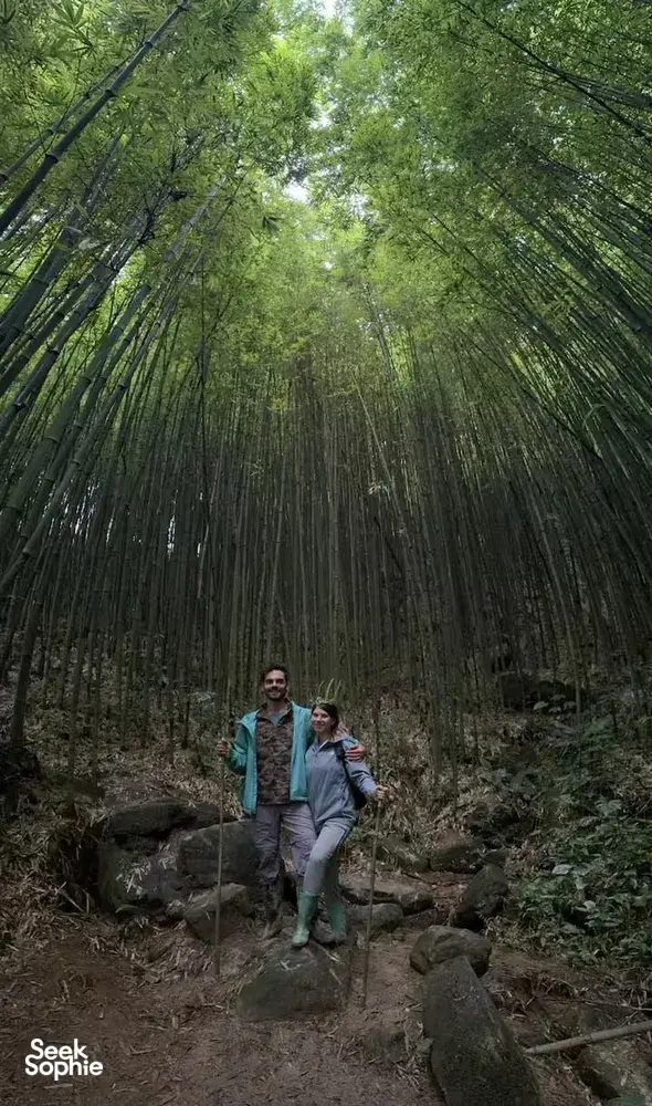 Seek Sophie option picture