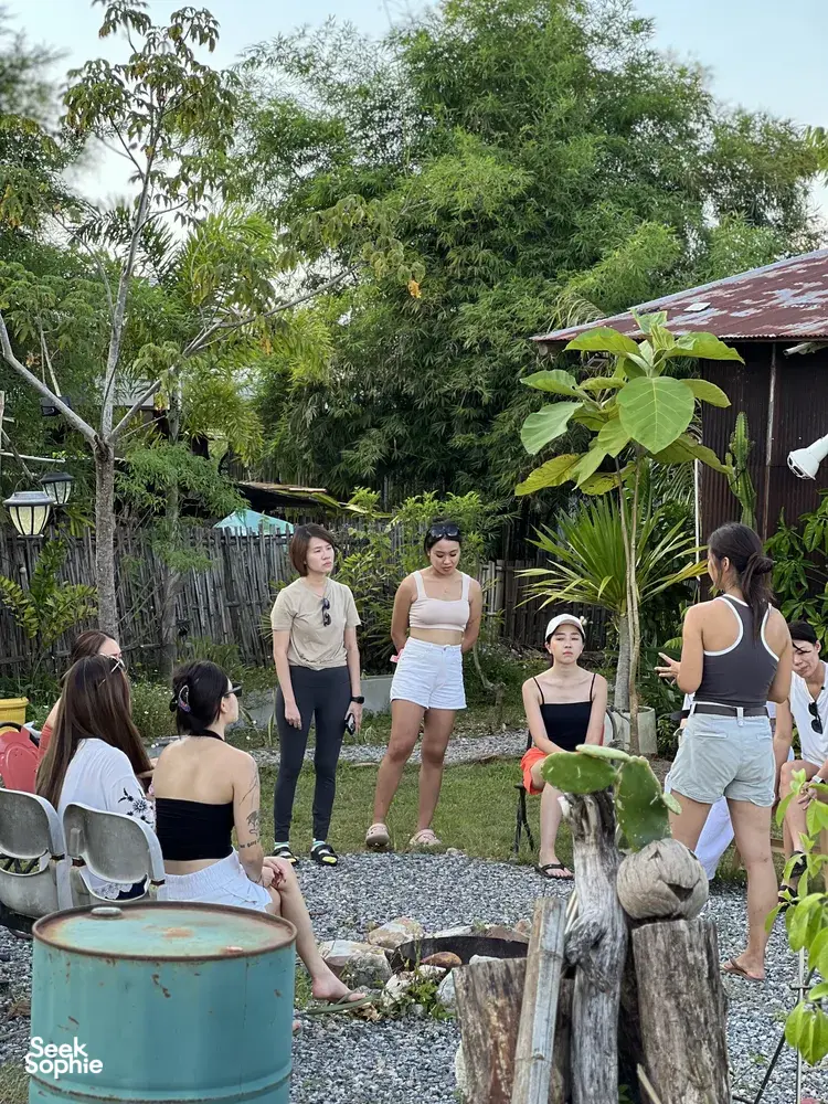 Seek Sophie option picture