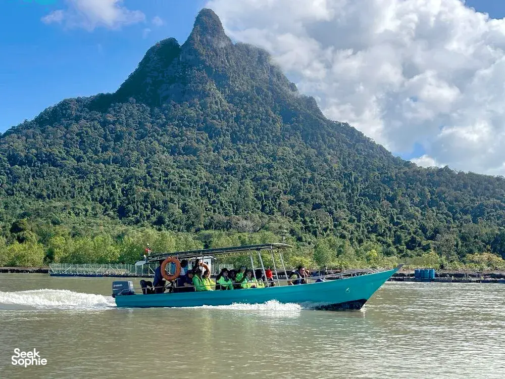 Seek Sophie option picture