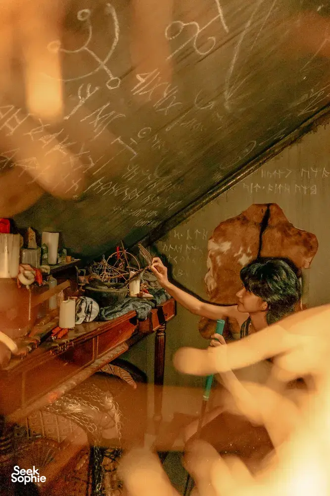 Seek Sophie option picture