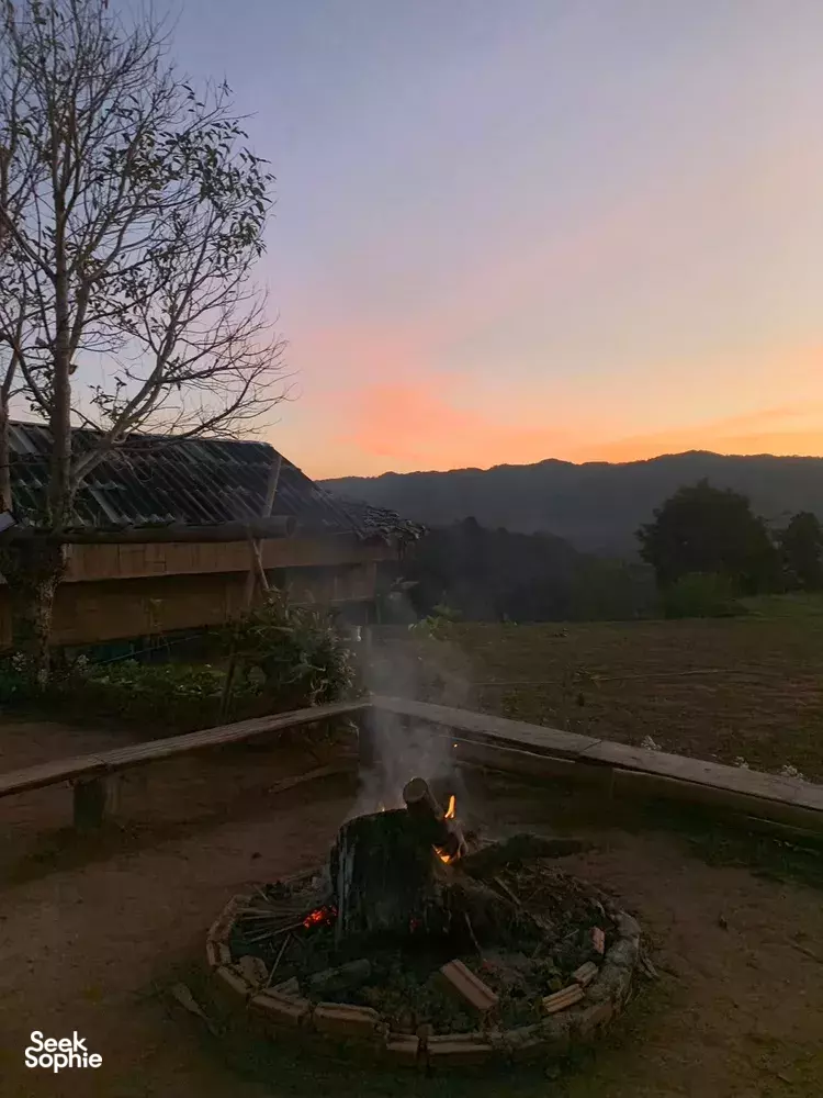 Seek Sophie option picture