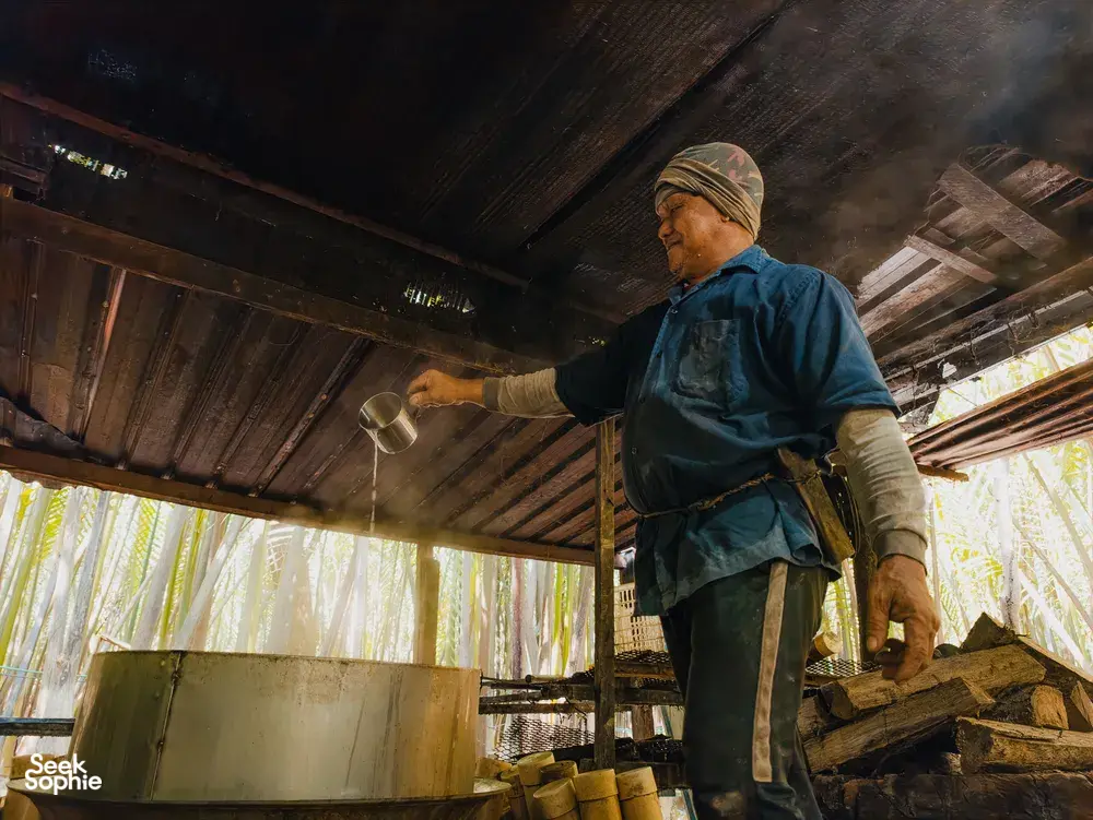 古晋 Tanoti Crafts 的工人在高脚屋屋檐下倒入棕榈树汁,将罐子装满,用于制作棕榈糖