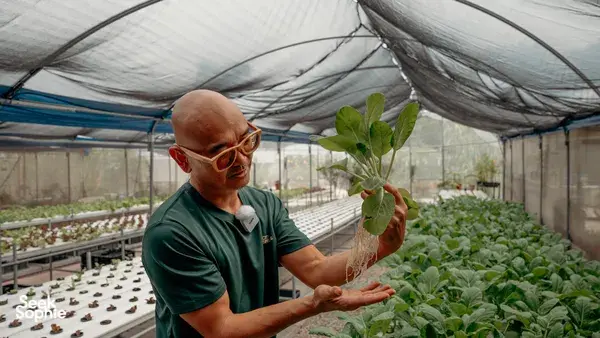 Farm-to-Table Laksa | Meet the Farmers Behind your Food