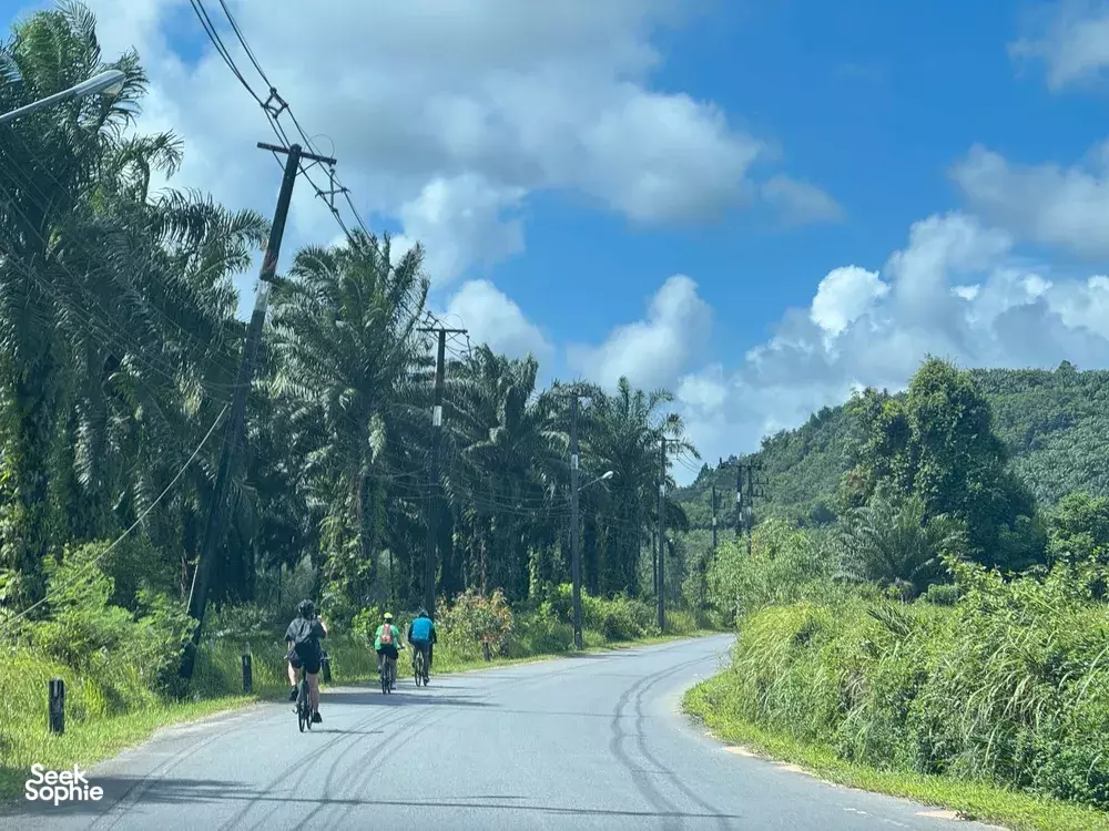 Seek Sophie option picture