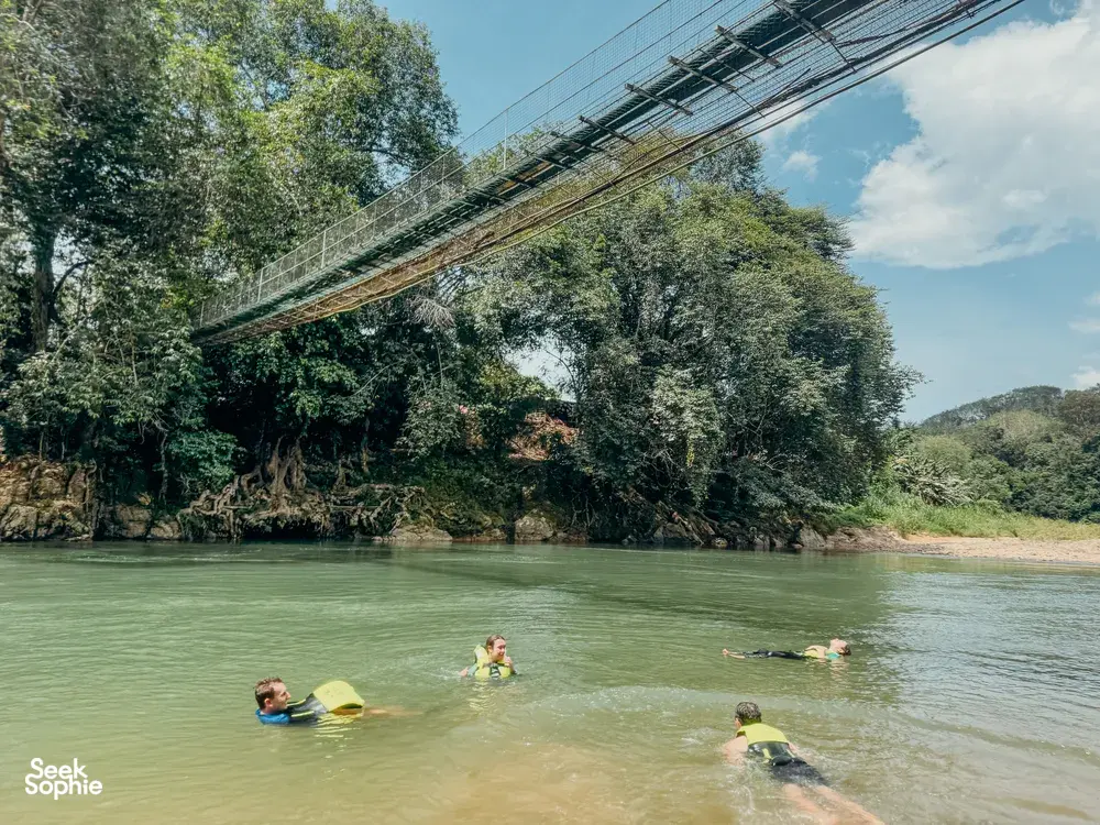 Seek Sophie option picture