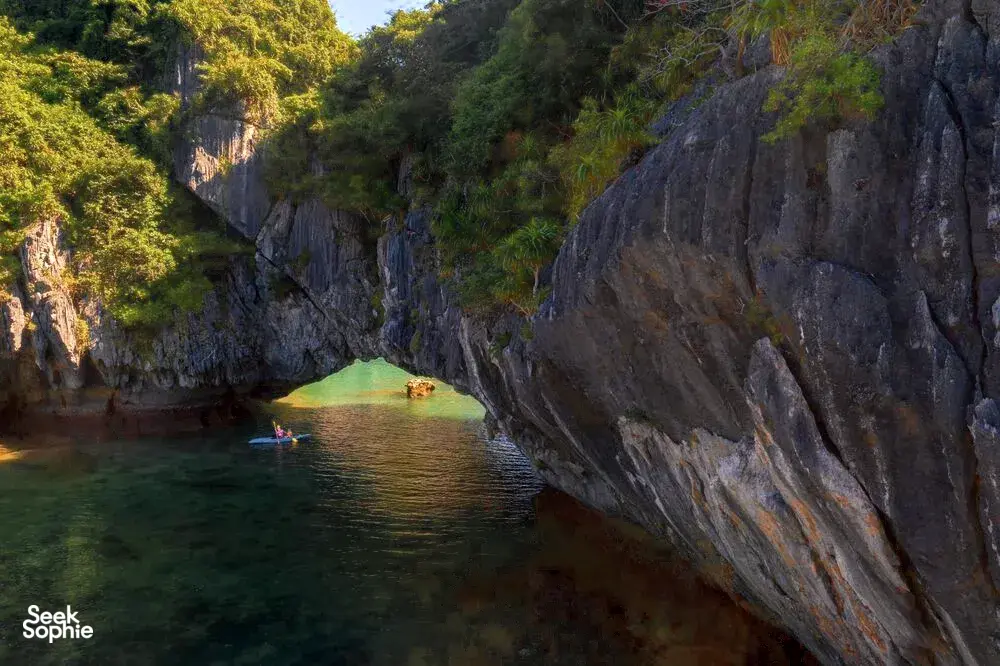 Seek Sophie option picture