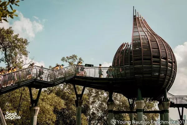 Mangrove Exploration @ Pasir Ris or Sungei Buloh (Age: 2+)