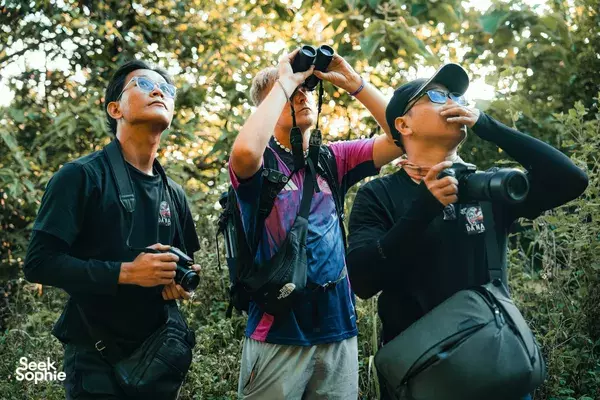 Travellers in a forest using binoculars to spot red-shanked douc langurs on a Da Nang sunset motorbike wildlife adventure