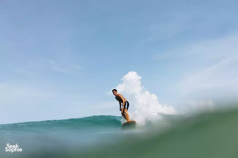 Seek Sophie option picture