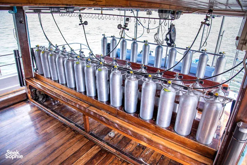 Seek Sophie option picture