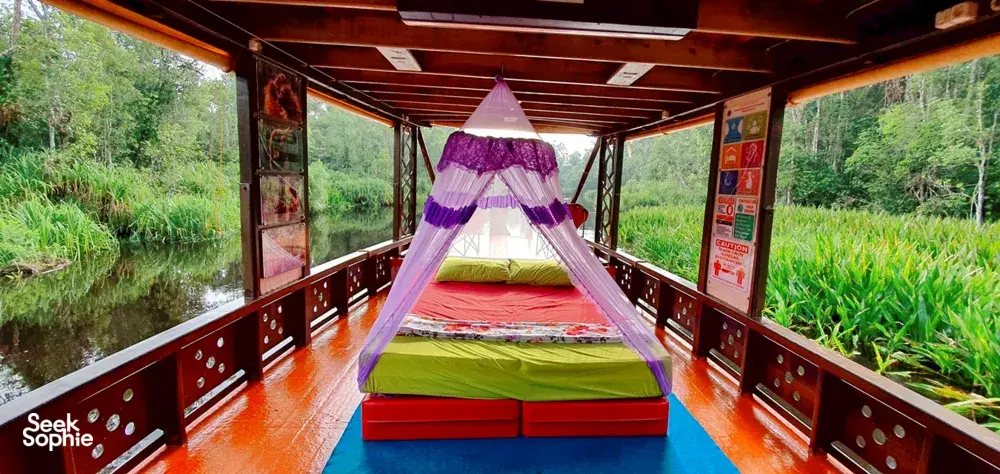 Seek Sophie option picture