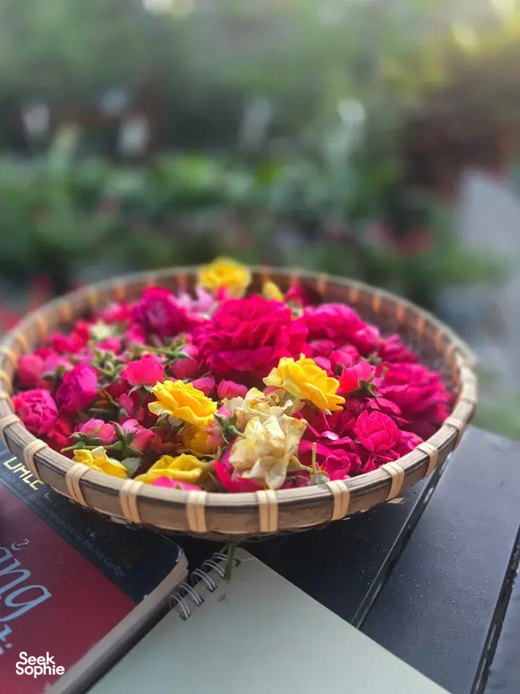 Seek Sophie option picture