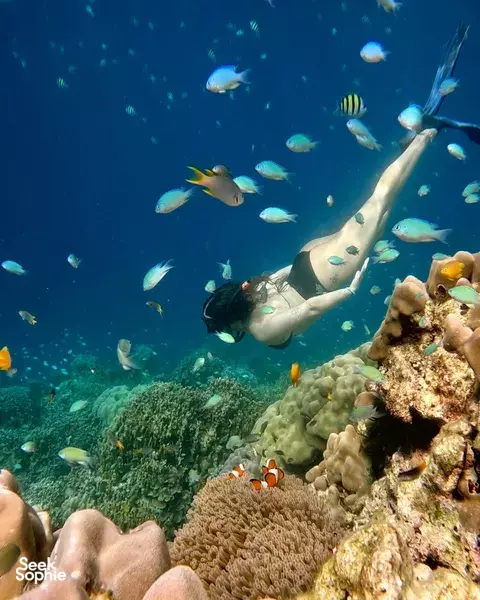 考拉秘境私人半日浮潜之旅