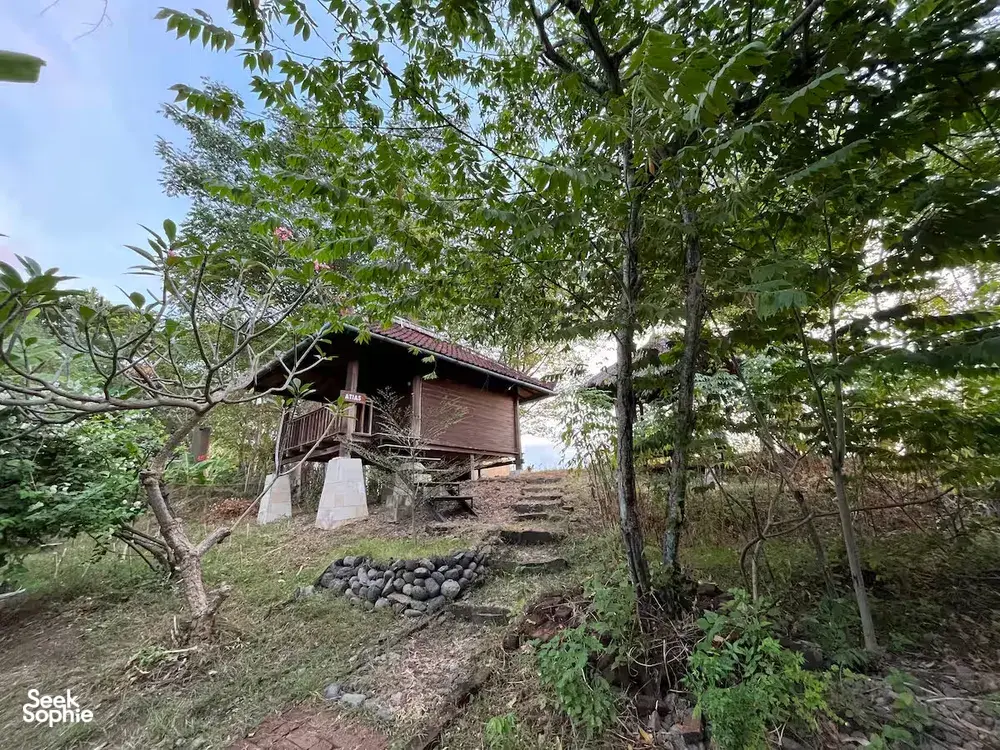 Seek Sophie option picture