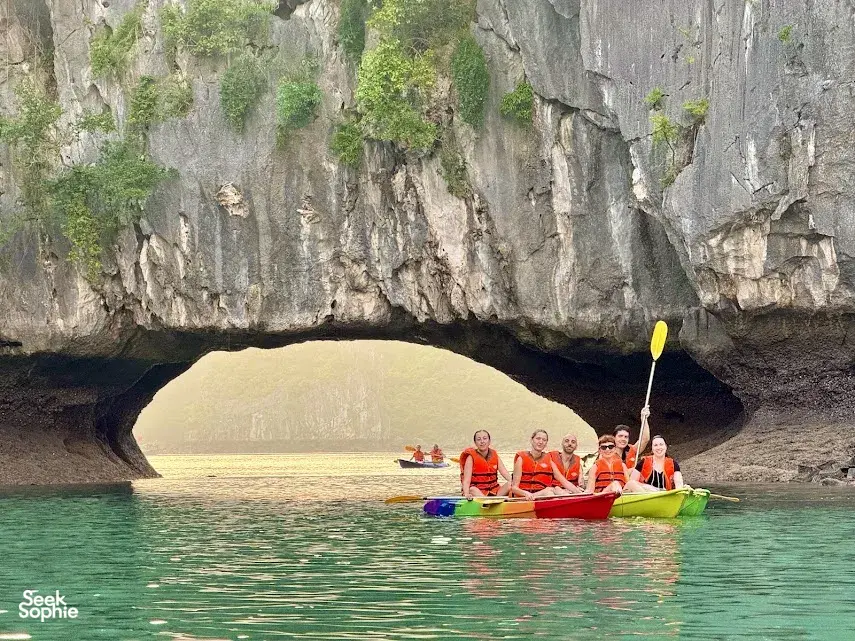 Seek Sophie option picture