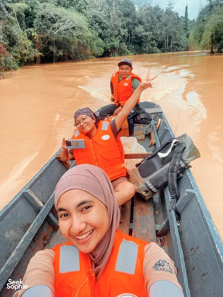 Seek Sophie option picture