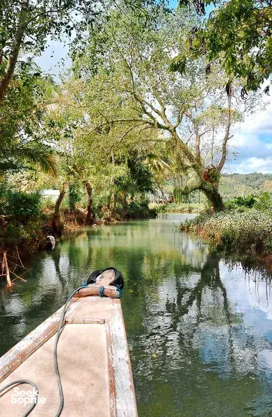 View from a boat gliding through calm mangrove waters for a day trip visiting hidden channels and villages in Labuan Bajo