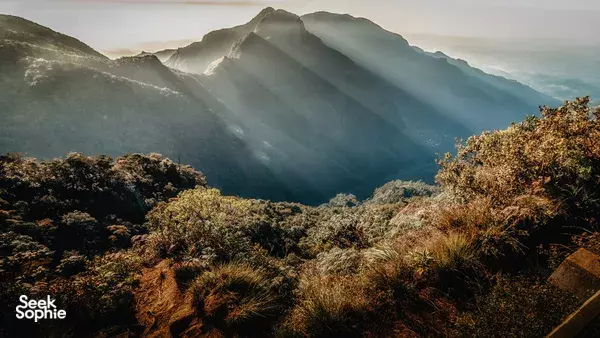 Full Day Kirigalpotta Mountain Summit Hike | Horton Plains