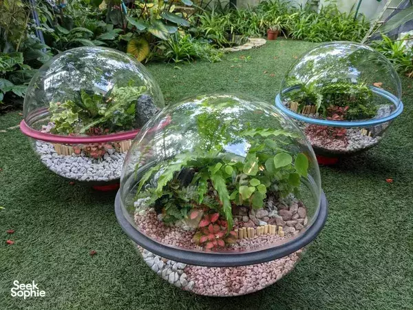 Three glass terrariums on artificial grass in a secret farm garden, ready for a terrarium workshop in Singapore