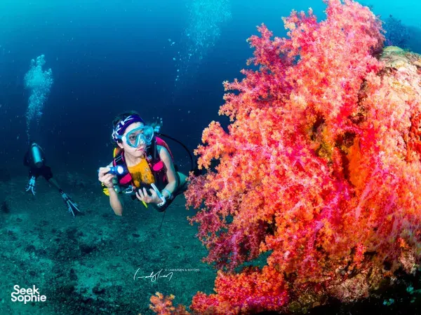 5天4夜普及安达曼深潜包船私人空调套房 | 14次潜水