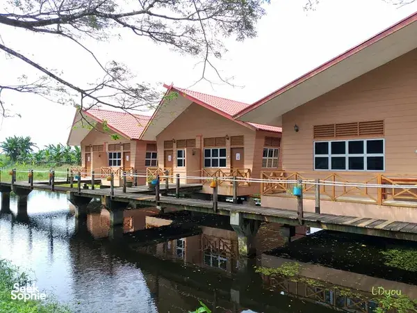 2D1N Kinabatangan Jungle Camp & River Safari – Offbeat & Community-Led