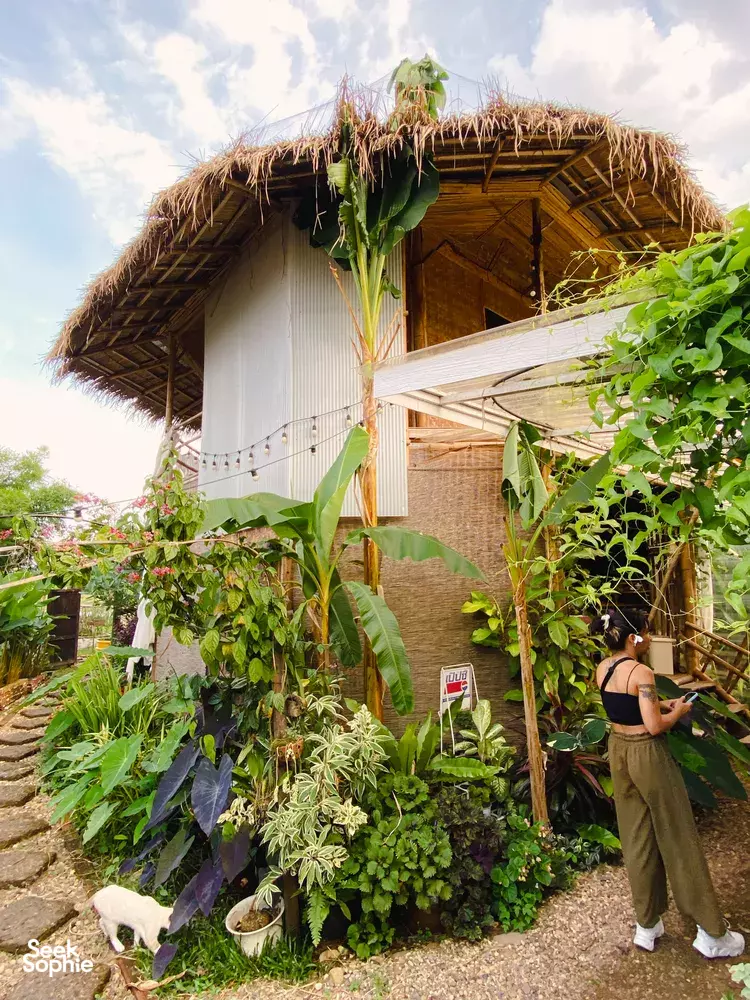 Seek Sophie option picture