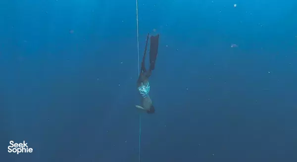 2日自由潜水课程|适合新手的顶级教练带你入门