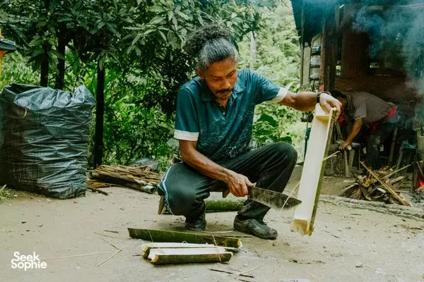 Full Day Jungle Adventure with Conservation Hero 