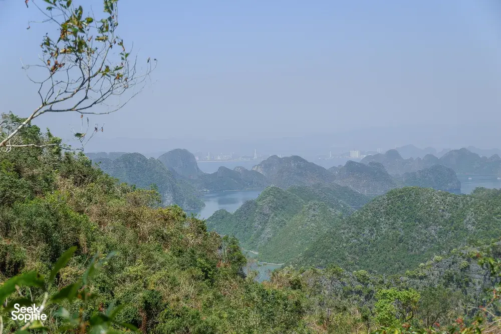 Panoramic view of Cat Ba’s karst mountains and a calm bay across the water, seen from a forested lookout above