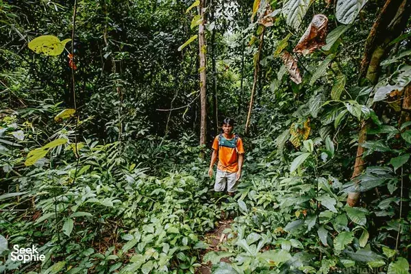 Liburan Alam 2H1M di Cat Tien | Jalur Ekologi, Naik Perahu & Danau Buaya