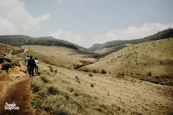 6H Sunrise Hike to World's End Cliff | Horton Plains 