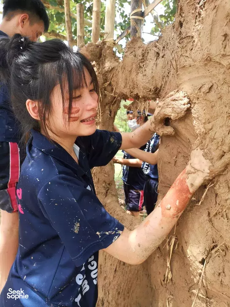 Seek Sophie option picture