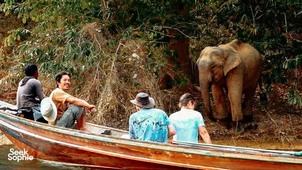 Best 3D2N Cheow Lan Stay | Rare Stay with AC + Amazing Private Guide