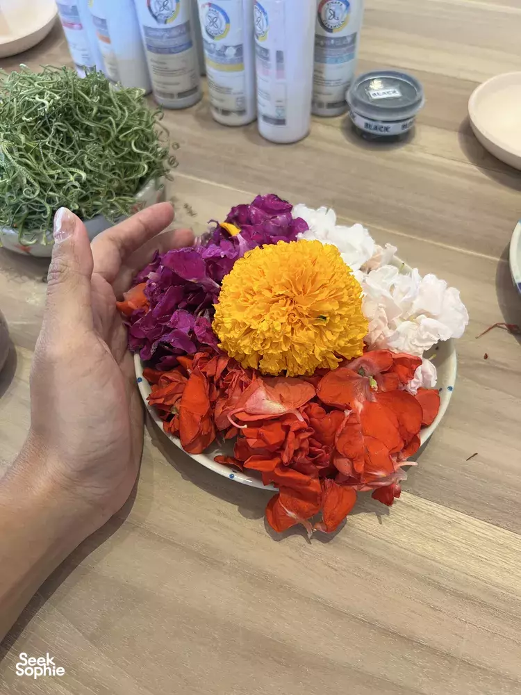 Seek Sophie option picture