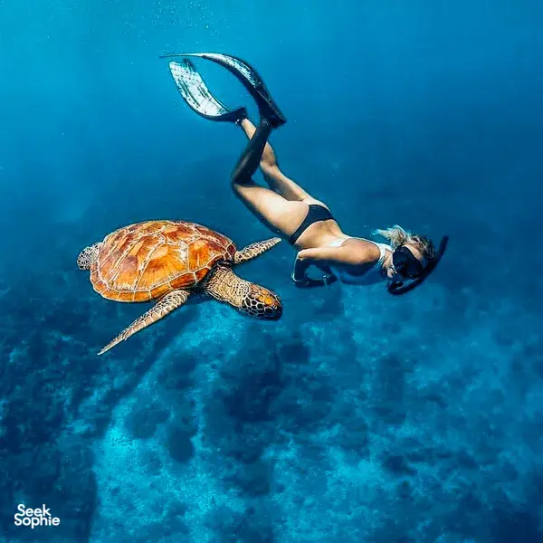 Private Snorkelling in Secret Gilis | Less Crowds & Vibrant Corals